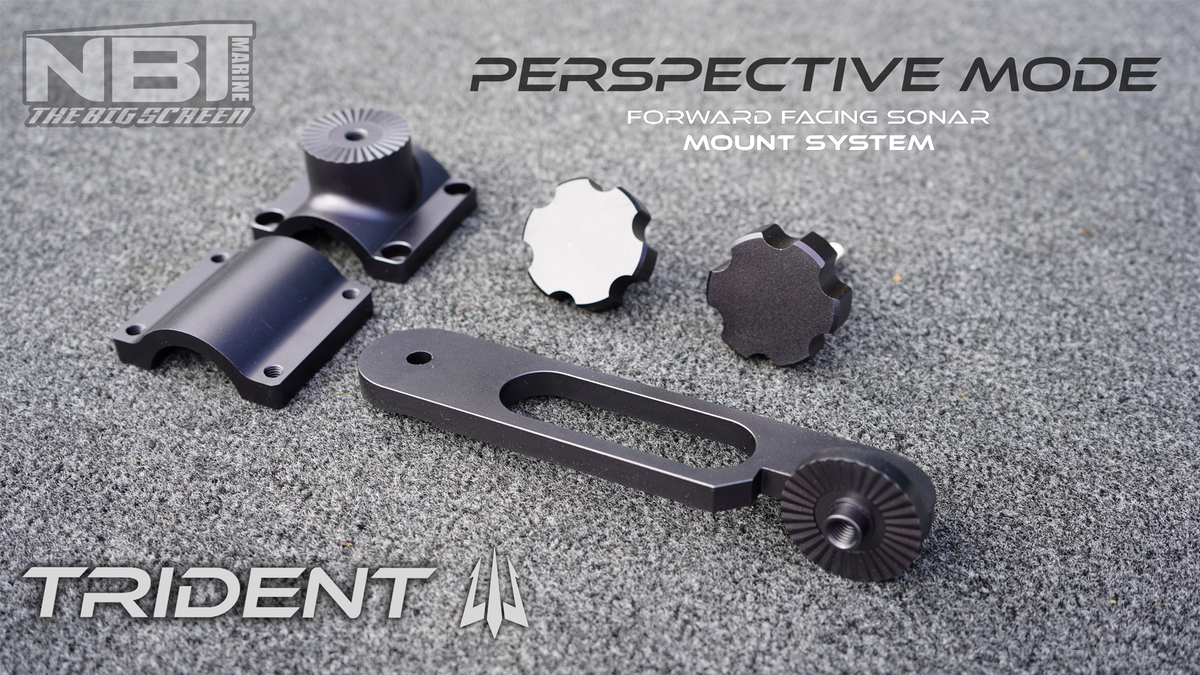 TRIDENT SINGLE Perspective ONLY MOUNT