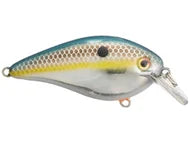 Strike King KVD 1.5 HC Squarebill Silent Crank Bait