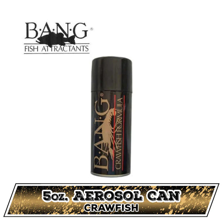 Bang Fish Attractor
