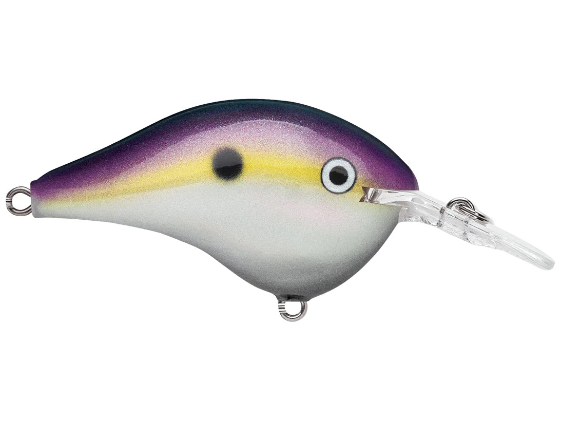 Rapala DT Series Crank Bait