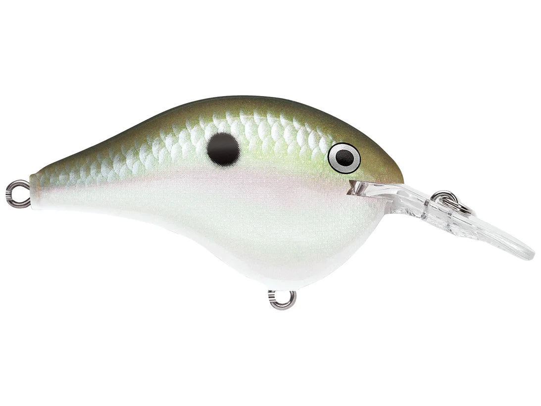 Rapala DT Series Crank Bait