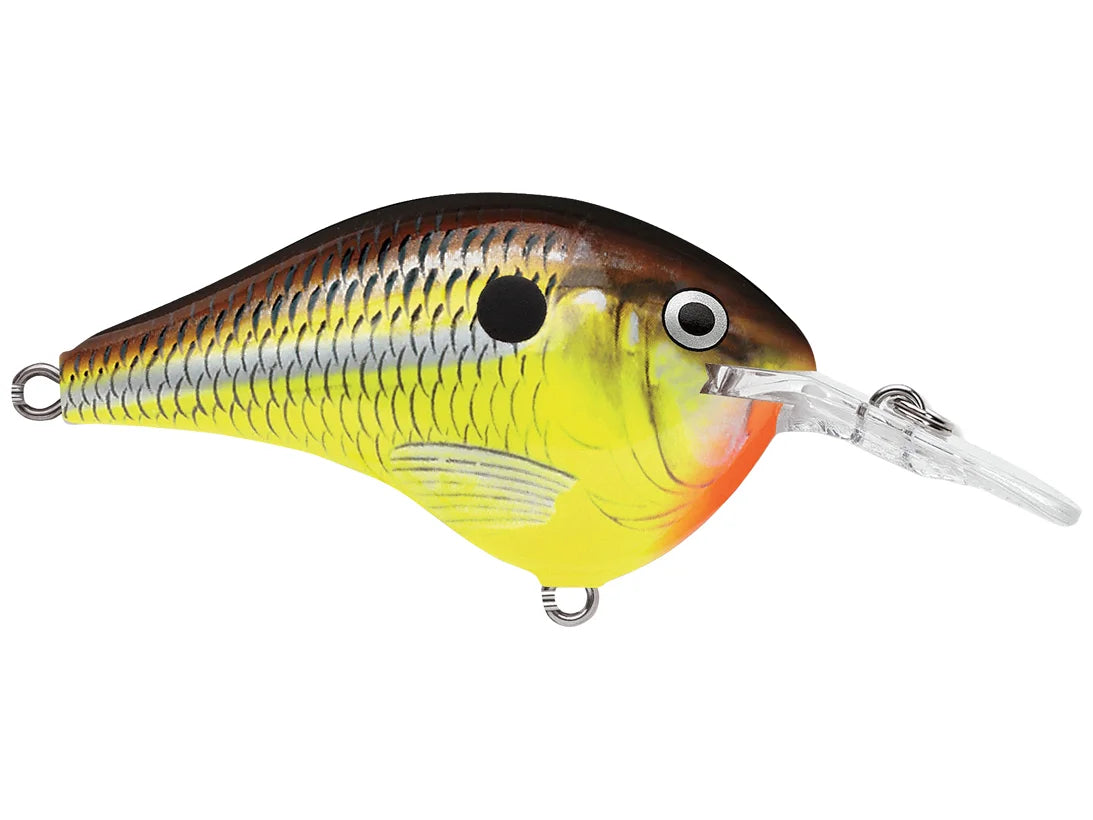 Rapala DT Series Crank Bait
