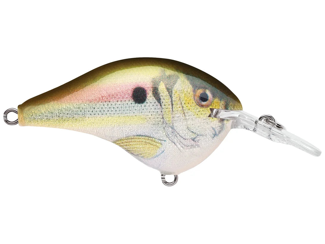 Rapala DT Series Crank Bait