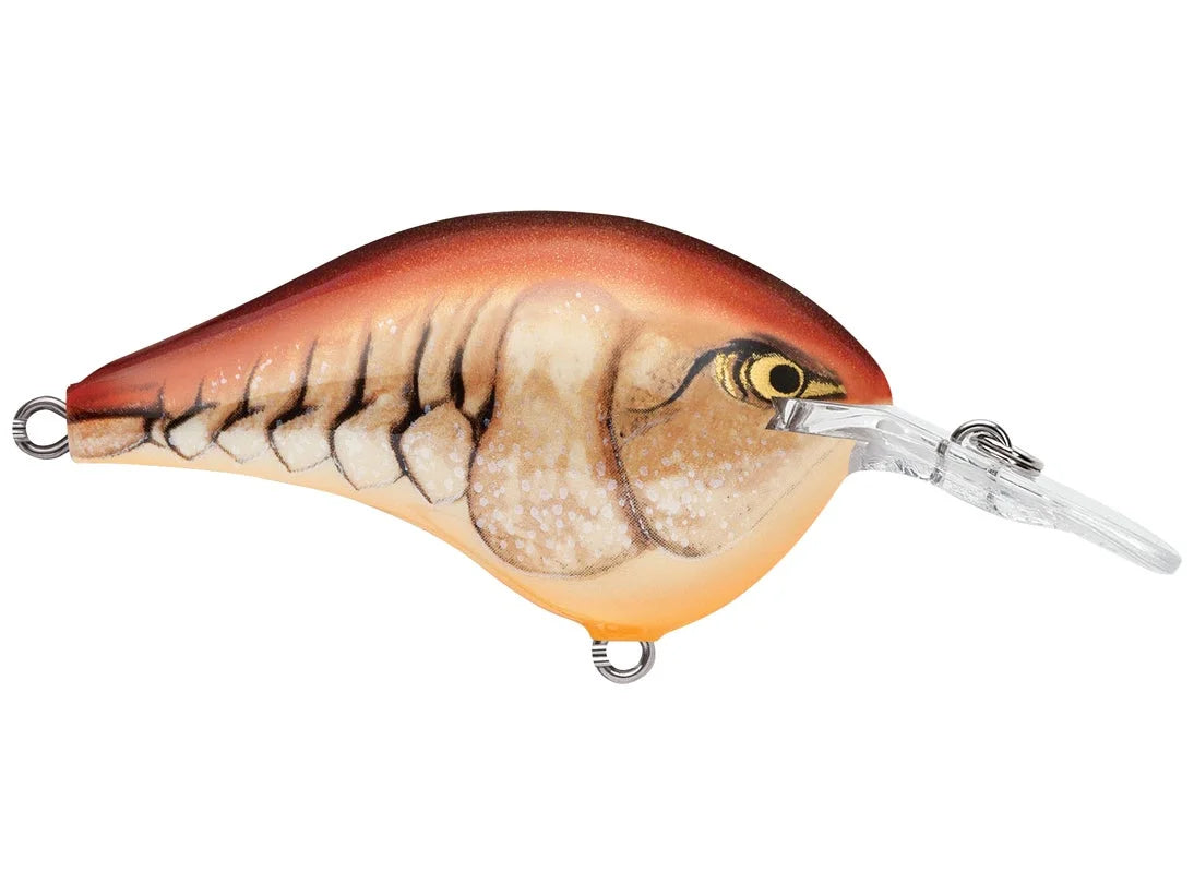 Rapala DT Series Crank Bait