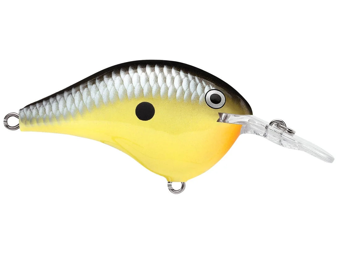 Rapala DT Series Crank Bait