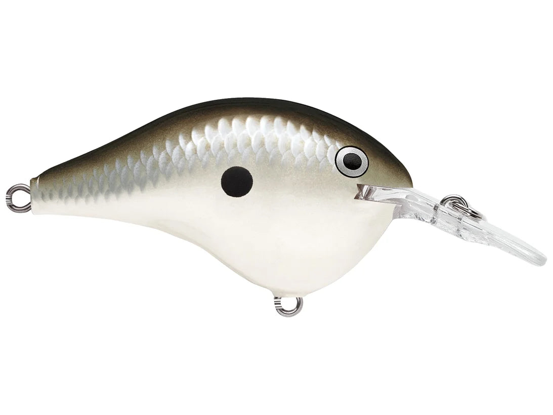 Rapala DT Series Crank Bait