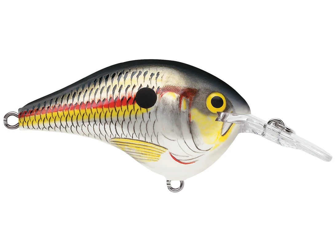 Rapala DT Series Crank Bait