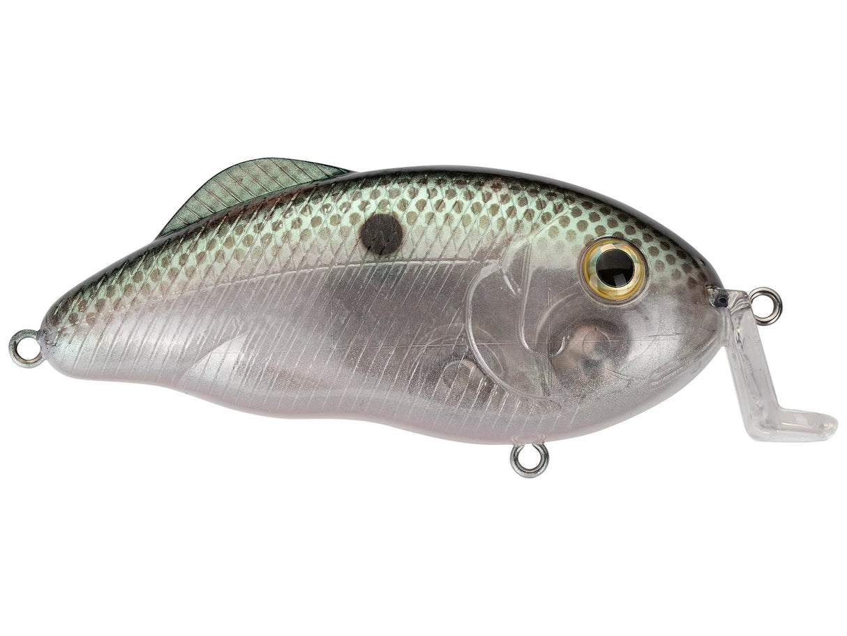 Strike King Hybrid Hunter Shallow Jr. Crank Bait