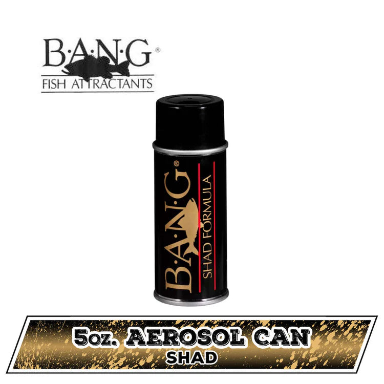 Bang Fish Attractor