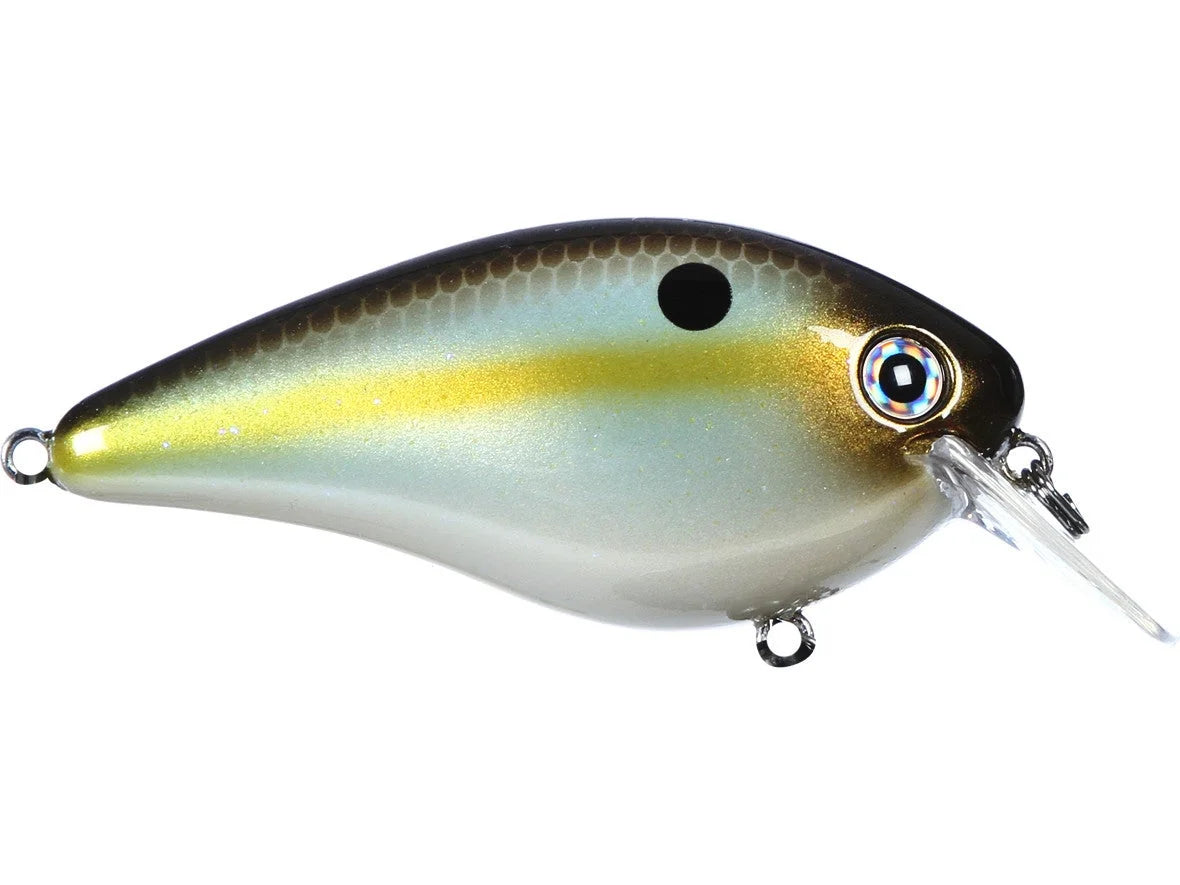 Strike King KVD 1.5 HC Squarebill Silent Crank Bait