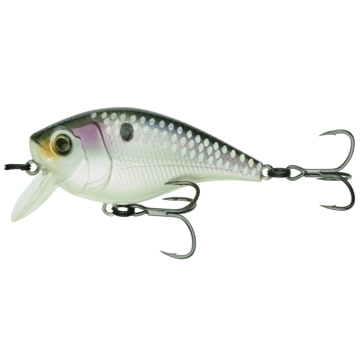 6th Sense Munch 40 Crank Bait