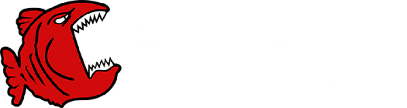 Big Bite Baits