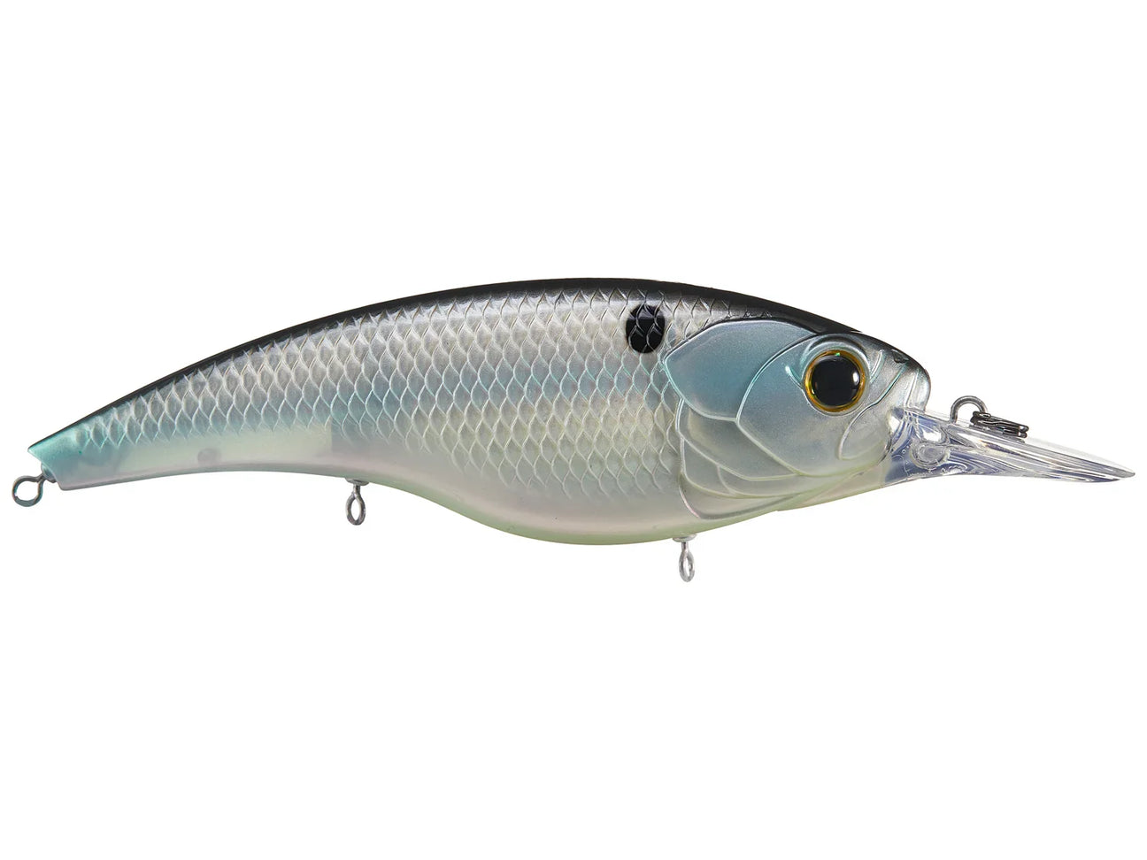 Oversized Crank Baits