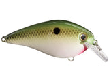 Strike King KVD 1.0 HC Squarebill Silent Crank Bait