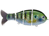 Bucca Brand Baby Bull Gill