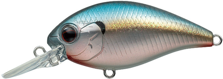 Ever Green CR-6 Crank Baits