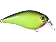 Strike King KVD 1.5 HC Squarebill Silent Crank Bait