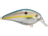Strike King KVD 1.5 HC Squarebill Silent Crank Bait