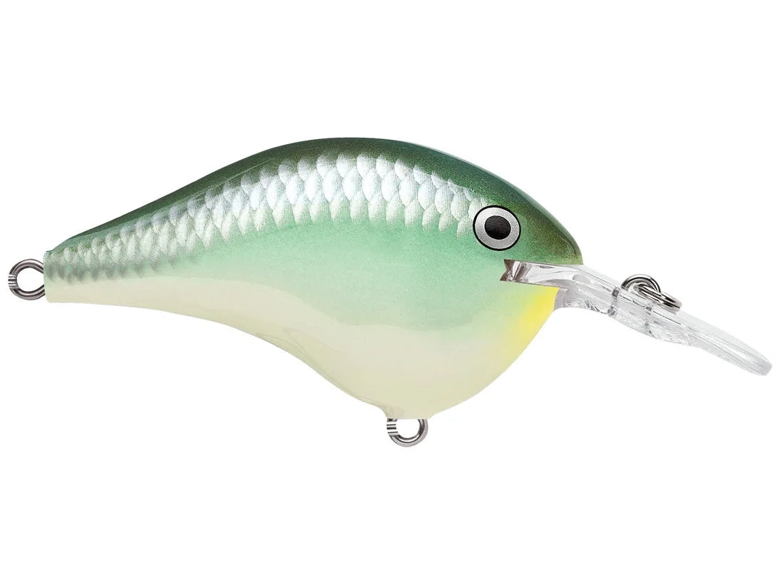 Rapala DT Series Crank Bait