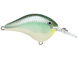 Rapala DT Series Crank Bait