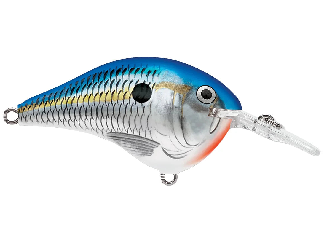 Rapala DT Series Crank Bait