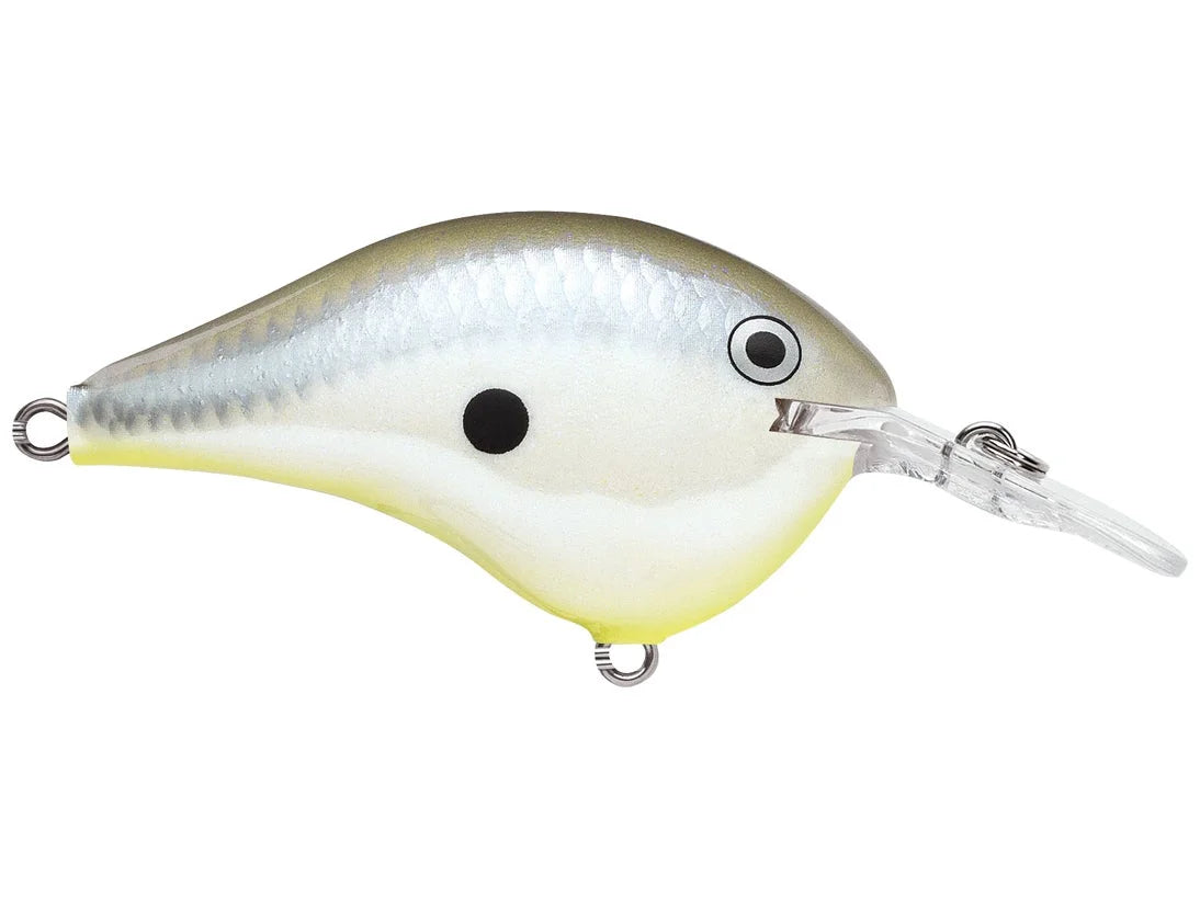 Rapala DT Series Crank Bait