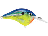 Rapala DT Series Crank Bait