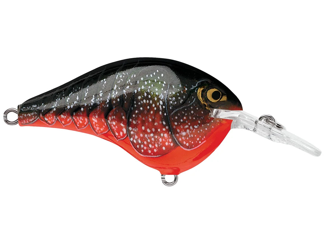 Rapala DT Series Crank Bait