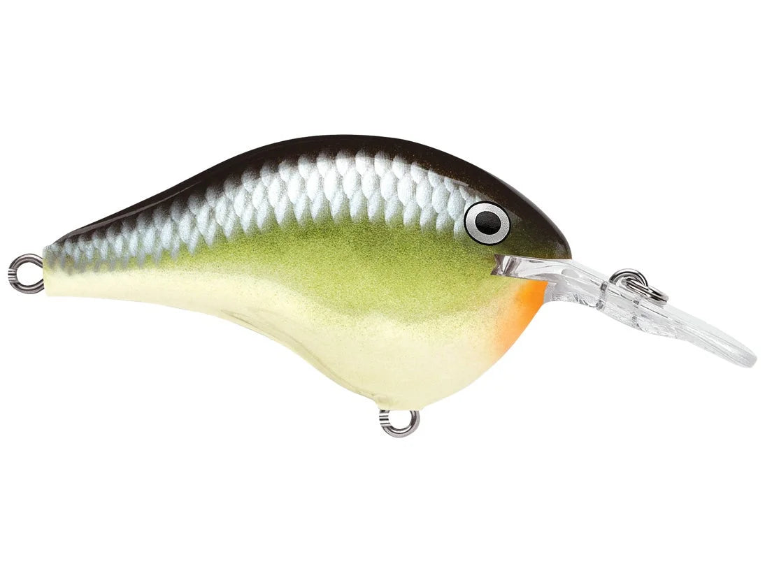 Rapala DT Series Crank Bait