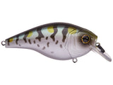 6th Sense Cloud 9 Silent MiniMag SB Crank Bait