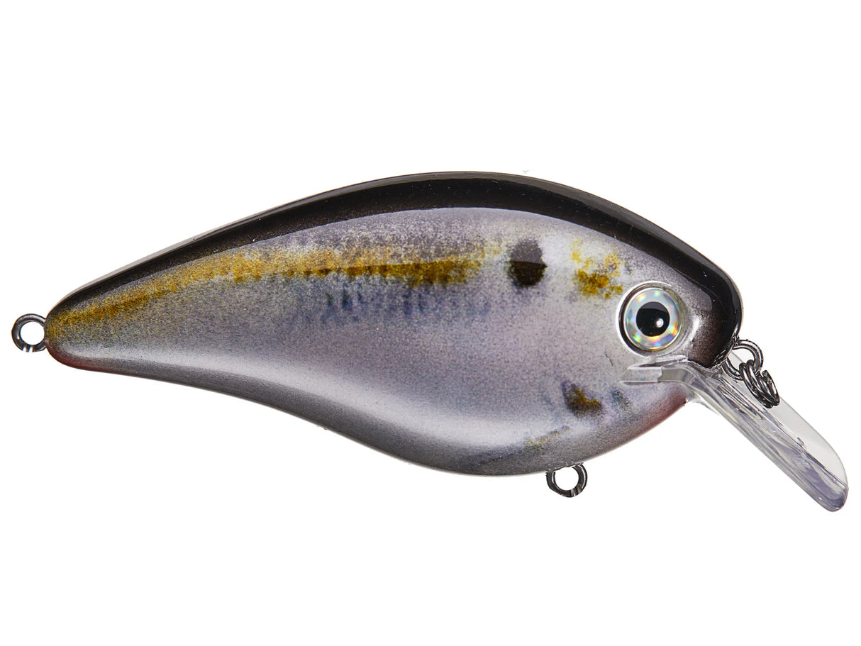 Strike King KVD 1.5 HC Squarebill Silent Crank Bait