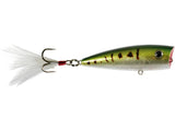 Yellow Magic Popper