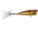 Yellow Magic Popper