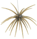 Big Bag Outdoors Bud Ball 25mm