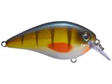 Strike King KVD 2.5 HC Squarebill Silent Crank Bait