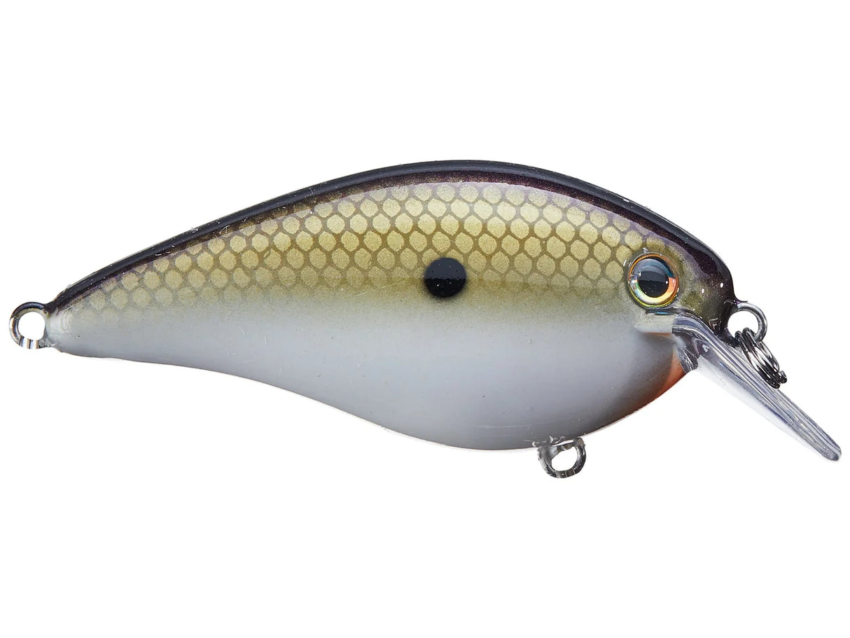 Strike King KVD 1.5 HC Squarebill Silent Crank Bait