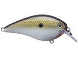 Strike King KVD 1.5 HC Squarebill Silent Crank Bait