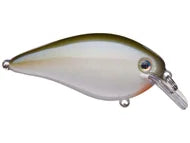 Strike King KVD 2.5 HC Squarebill Silent Crank Bait