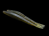 V&M Pork Shad 2.0
