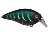 Strike King KVD 1.5 HC Squarebill Silent Crank Bait