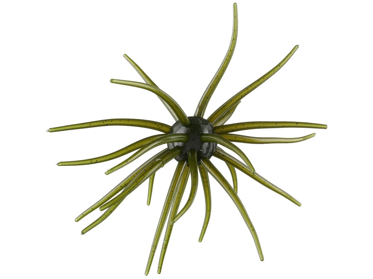 Hags Baits Prickly Pear 19mm