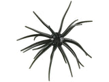 Hags Baits Prickly Pear 19mm